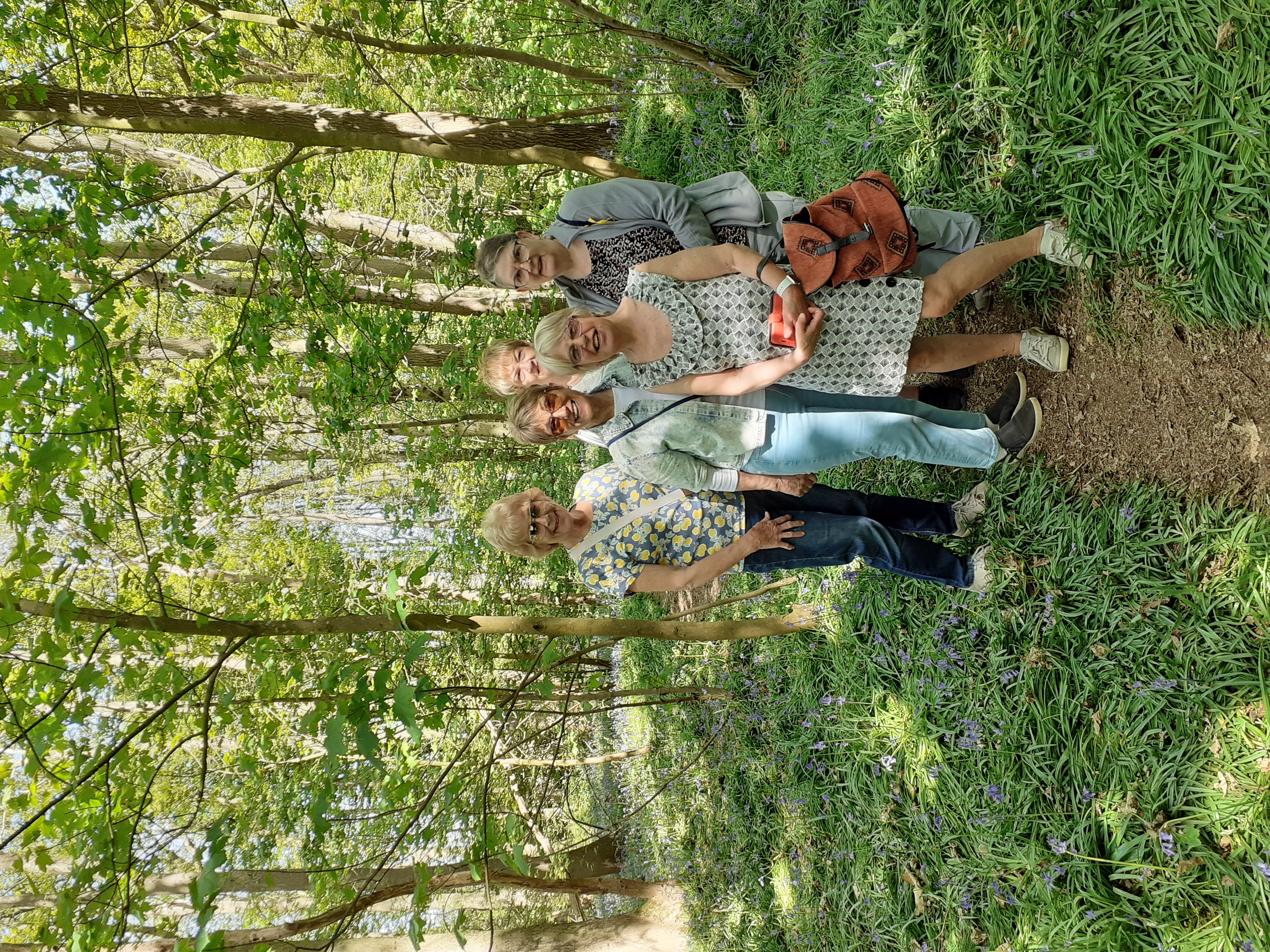 Buckenham Woods Walk