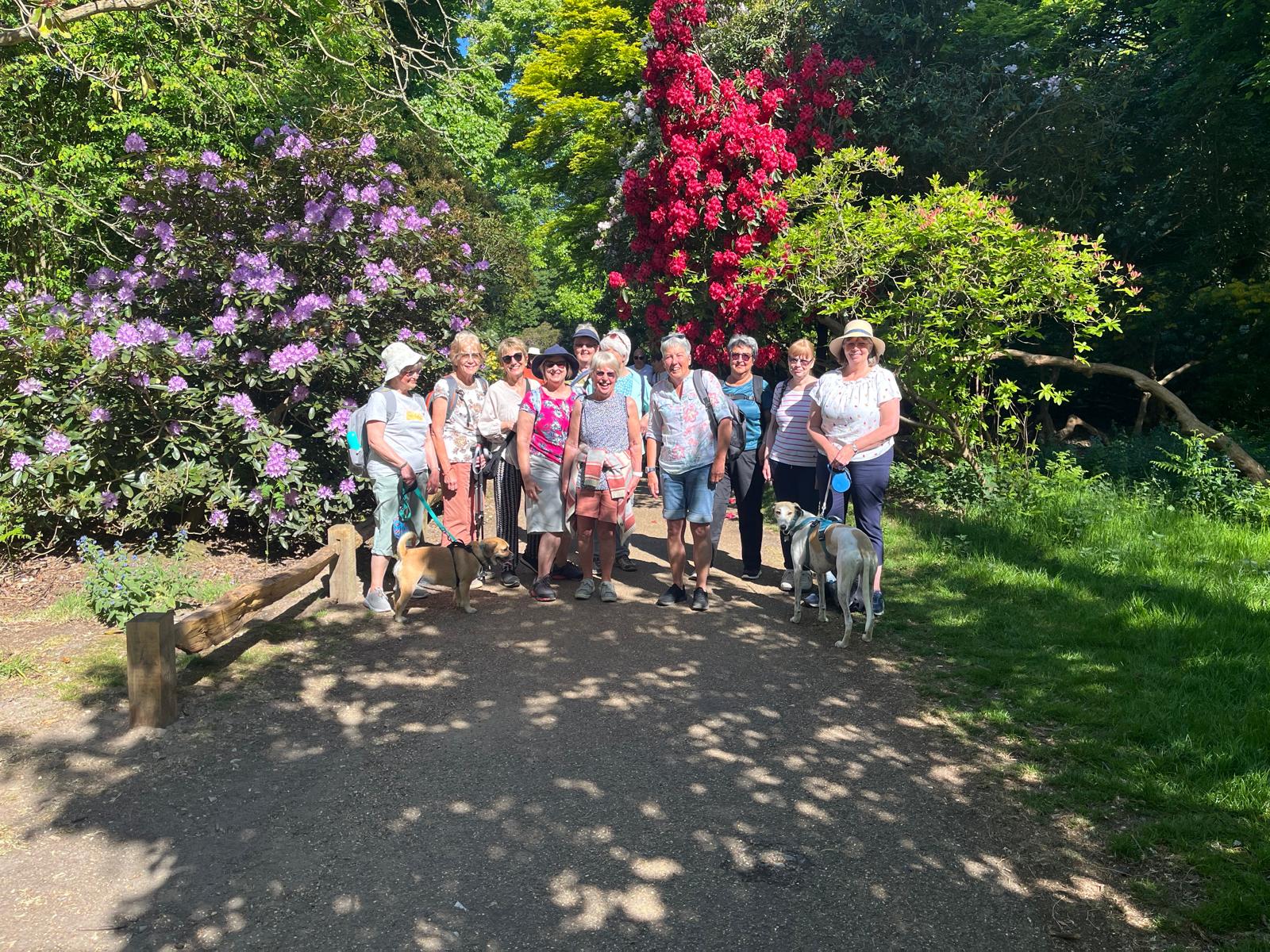 A delightful walk around the park and picnic was enjoyed by the monthly walking group on Monday 12th May 2025.