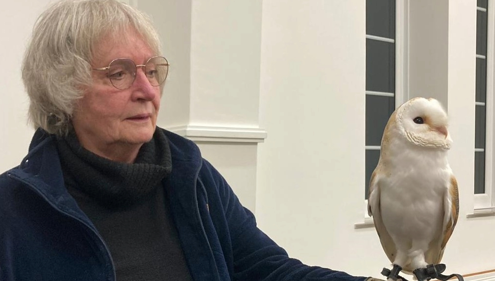 owl