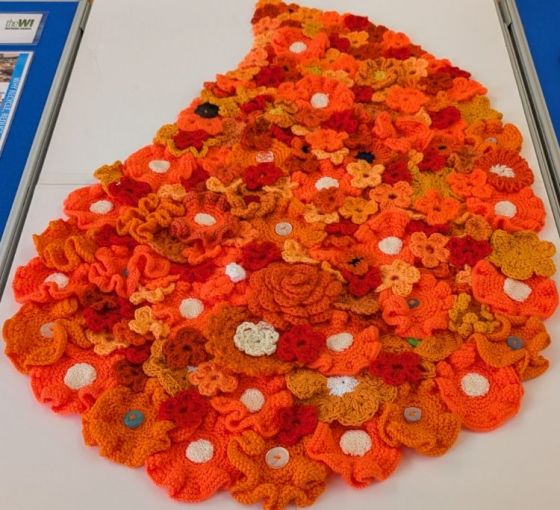 Orange flowers