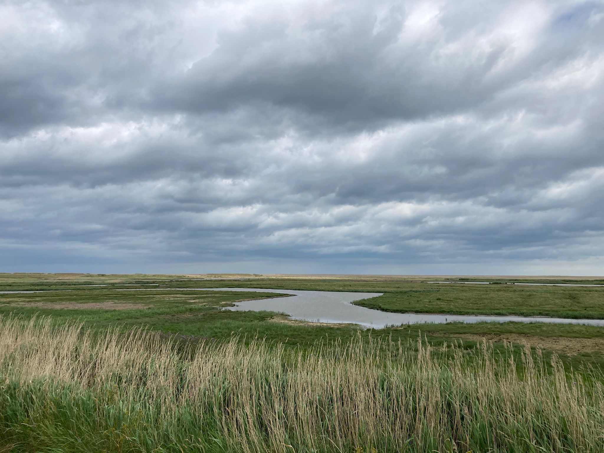 View across Cley Marshes