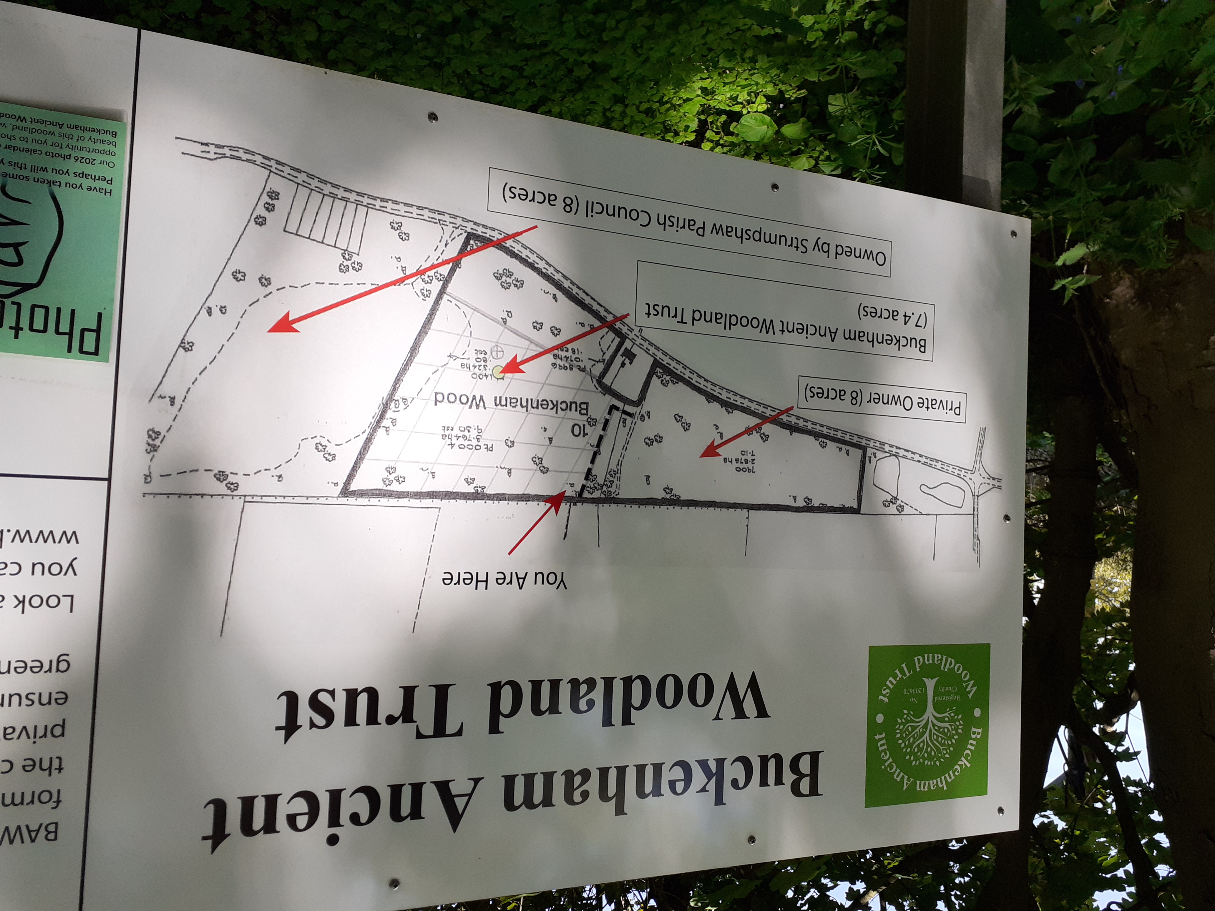 Buckenham Woods Walk - 29th April 2025